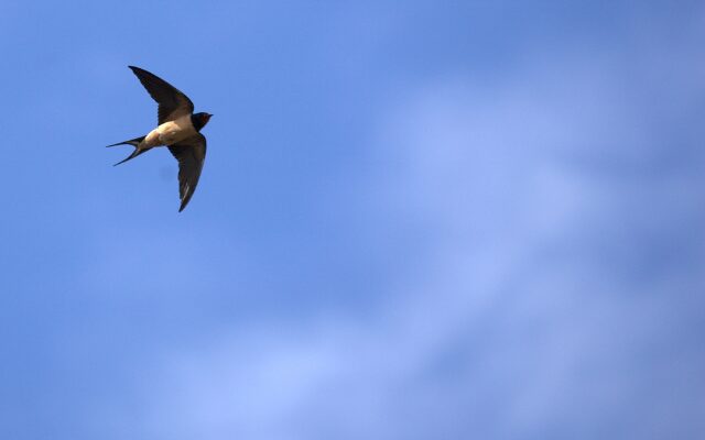 Emotionale Müdigkeit durch ständiges Funktionieren