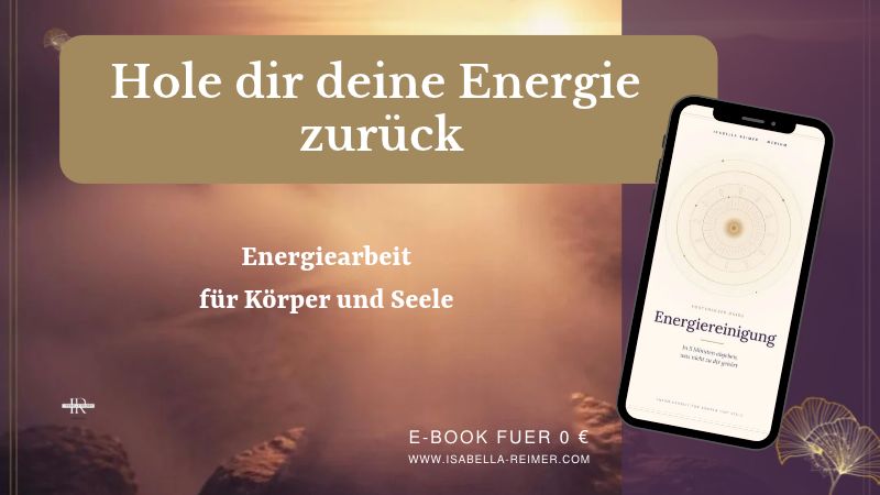 Energiereinigung pdf