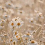 Innere Leere und emotionale Erschöpfung