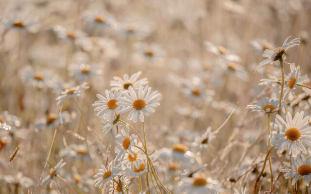 Innere Leere und emotionale Erschöpfung
