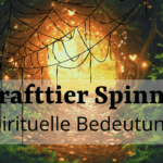 Spirituelle Bedeutung Spinne Krafttier